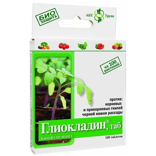 ���� ����������������� �������� ��� ����������� ����� ����������, 24 �, ������ �� 116 ���