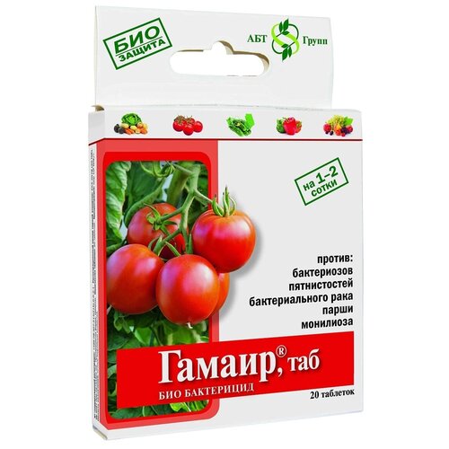 ���� ����������������� ���-���������� ������ ���, 20 ��. � 24 �� � 24 �, ������ �� 117 ���