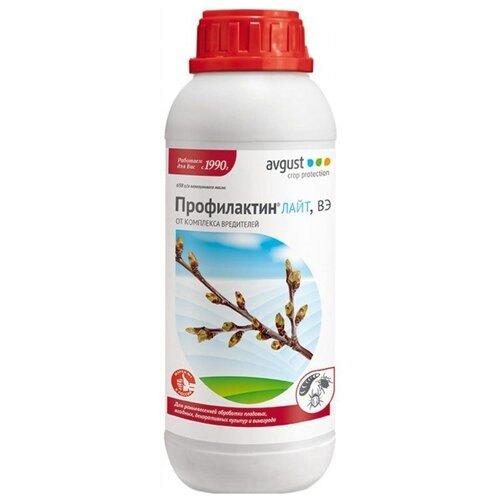 ���� Avgust �������� �� ��������� ���������� ����������� ����, ��, 1000 ��, ������ �� 539 ���