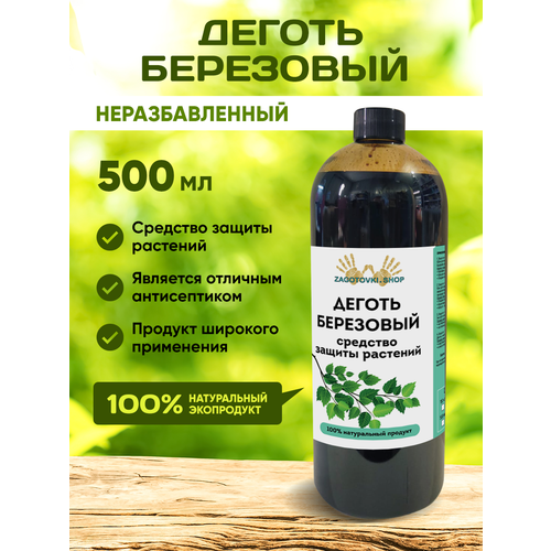 ���� ������ ���������. ������ �� ��������� 500 ��, ������ �� 600 ���