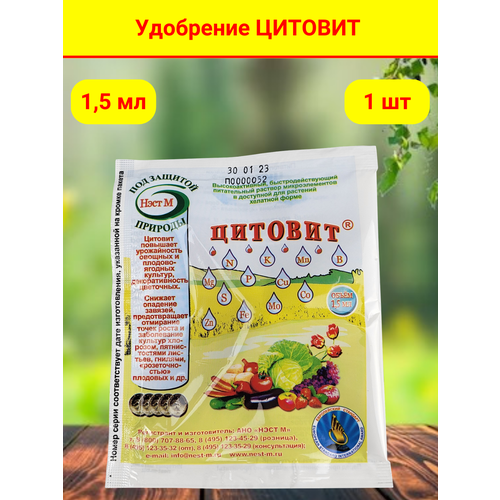 ���� �������, ���������, ����������� ������� ��������������, � ��������� �������� 1,5 ��,, ������ �� 65 ���