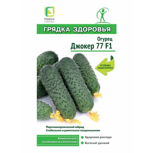 ���� ������ ������ 