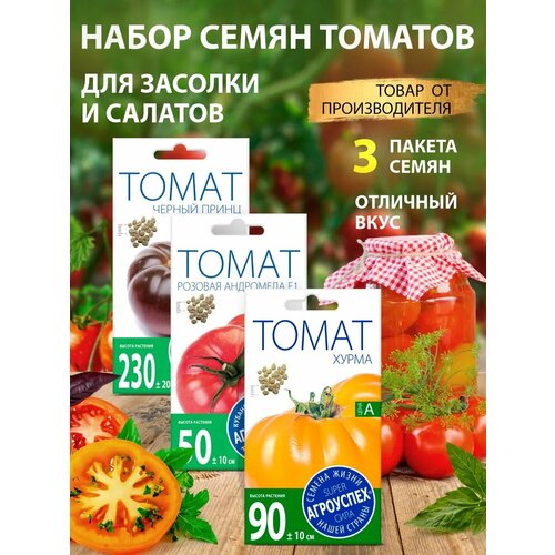 ���� ������ ������� ������� ������ ������, ������ �� 264 ���