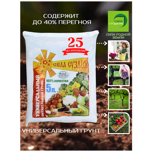 ���� ����� ���� ������� �������������, 5 �, 3 ��, ������ �� 569 ���