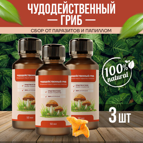 ���� ��������������� ���� �� ��������� � �������� ������ 50 �� 3��, ������ �� 1170 ���