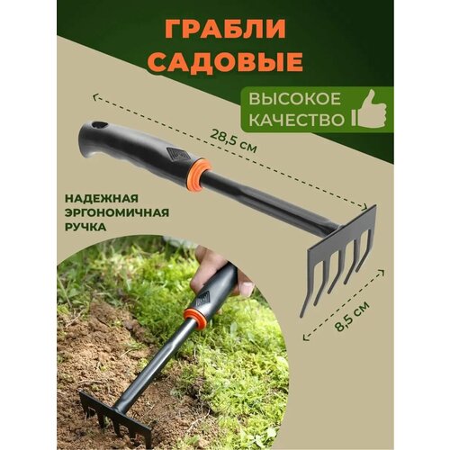 ���� ������ ������� ����, ������������� �����, ����� 29��, ������, ������ �� 289 ���