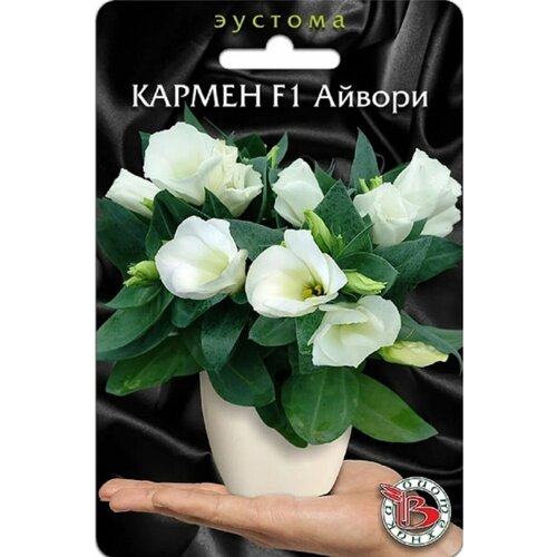 ���� ������ ������� (����������) ��������� 