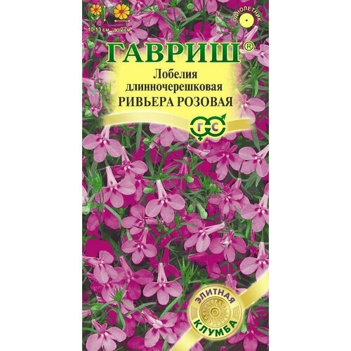 ���� ������ ������� ������� ������� 4�� ��� 13�� (������) ������� ������, ������ �� 58 ���