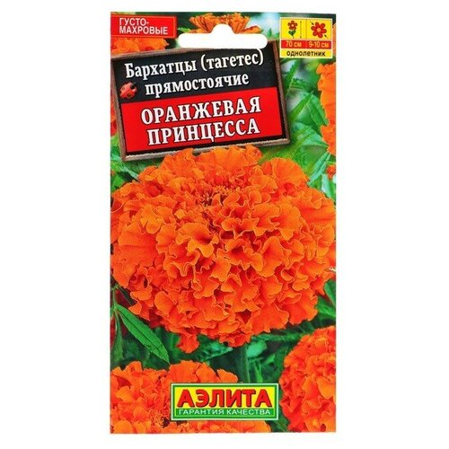 ���� ������ ������ �������� 