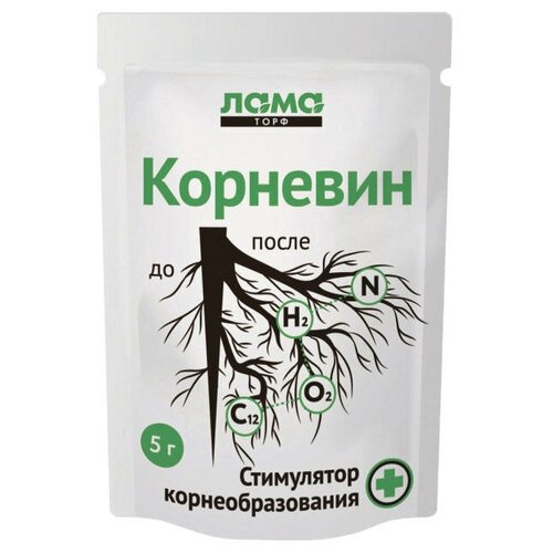 ���� ���������� ����� ������ �������� ���� ���� 5�, ������ �� 375 ���