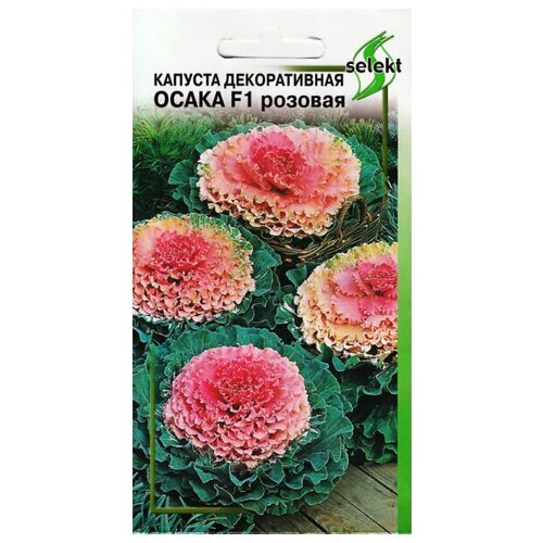 ���� ������� ������������ F1 ����� �������, 10 �����, ������ �� 265 ���