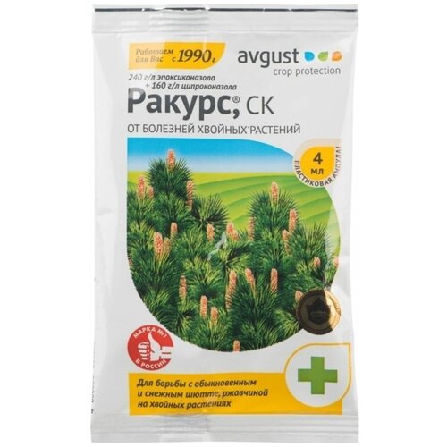 ���� �������� ������ �� �������� ������� �������� Avgust ������ 4 ��, ������ �� 240 ���