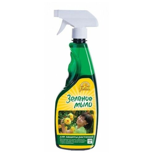 ���� ������� ���� ����� 700�� ��-�� ������ ��������, ������ �� 295 ���