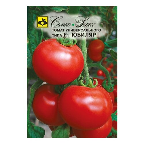 ���� ����� ������ F1, ������ �� 278 ���