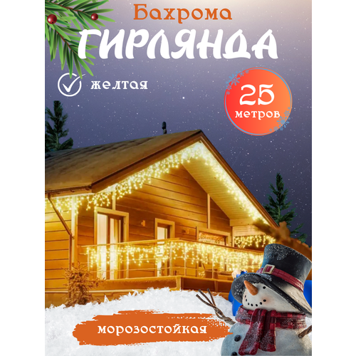 ���� �������� ������� �������, ������������ �������� �������, ��������������� ������� �� ����� ���, 25 ������, ������, ������ �� 1999 ���