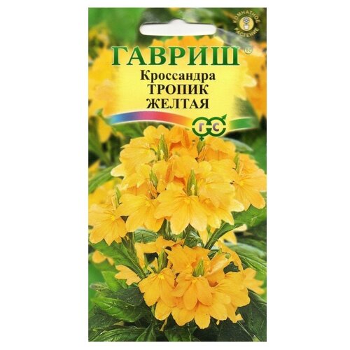 ���� ������ ������ ���������� ������ ������ 3 ��., ������ �� 162 ���