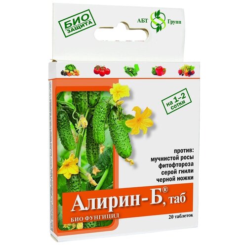 ���� ����������������� ���-�������� ������-� ���, 20 ��. � 4 �, ������ �� 146 ���