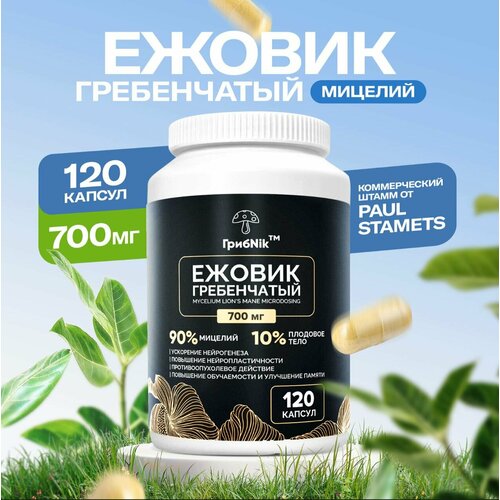 ���� ������ ����������� Lions Mane ������� ������� 120�� 700��, ������ �� 950 ���