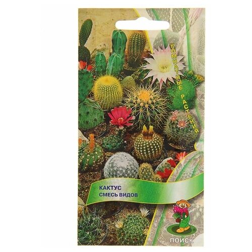 ���� ������ ��������� ������ ������ 