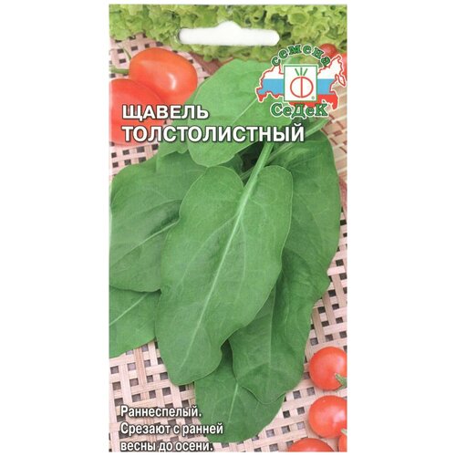 ���� ������ ����� ������ �������������, ������ �� 45 ���