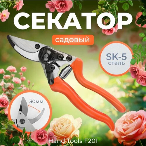 ���� ������� ������� 