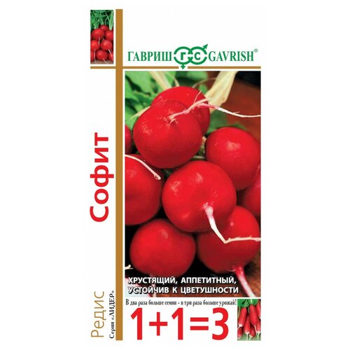 ���� ������ ������ ����� 1+1 