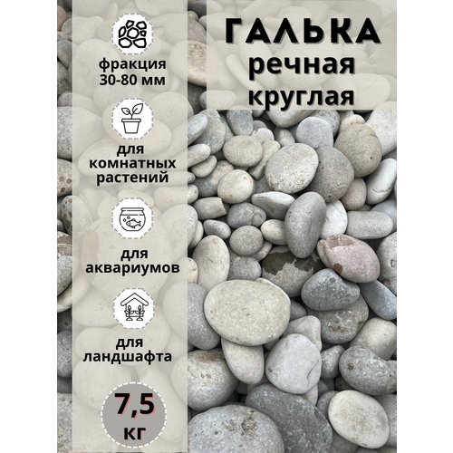 ���� ������ ������ ������� 30-80 �� (7.5��) ��� ���� � ������� � ������������ �������, ������ �� 916 ���