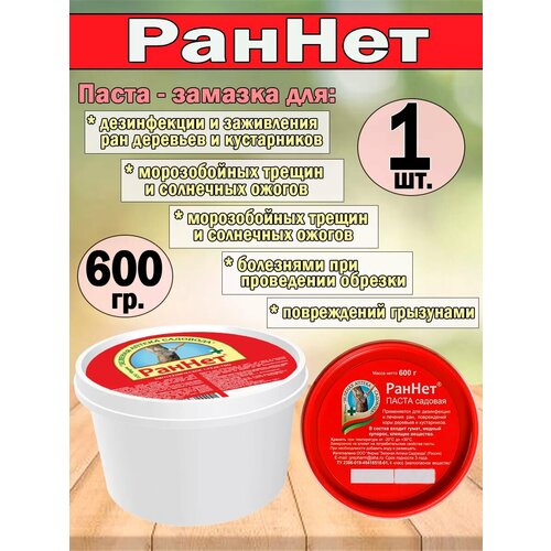 ���� �����-������� ������ 600 ��., ������ �� 570 ���