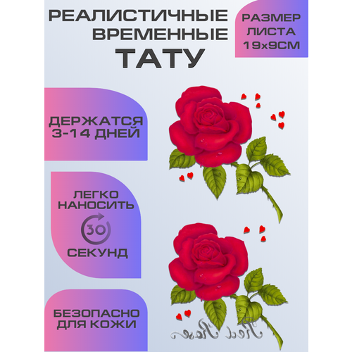 ���� ���� ���������� ��������������, ��������� ����, ������ �� 399 ���