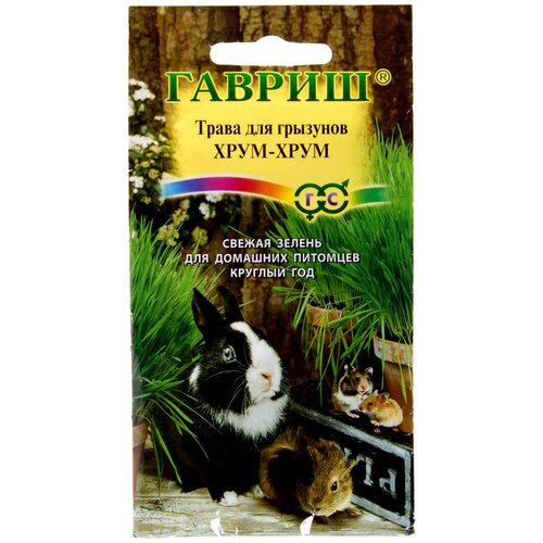 ���� ������. ����� ��� �������� 