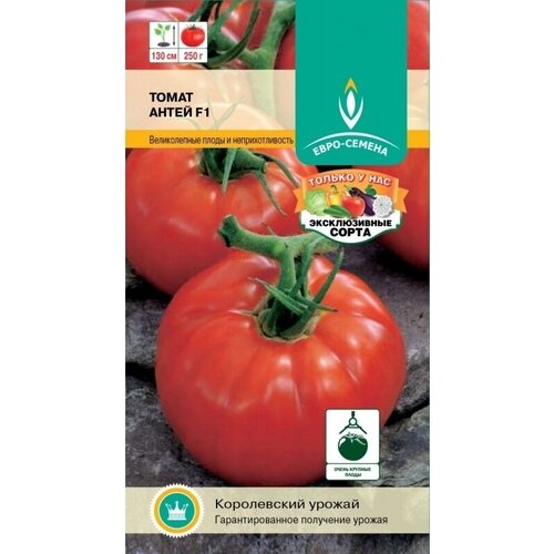 ���� ����� ����� F1 ��/� 10 ��, �����������, ��� - ������ �� 130 ��, ����� ��������, �������, �� 250 ��., ������ �� 199 ���