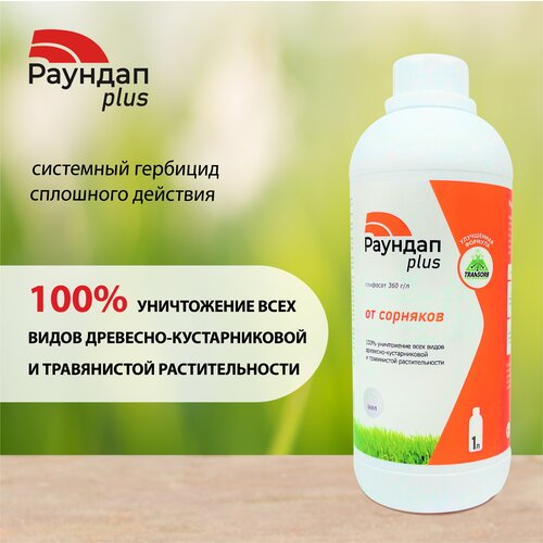 ���� �������� �� �������� ������� Plus 1 �., ������ �� 1111 ���