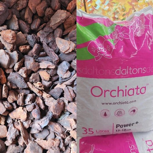 ���� ������� ����� ����, ������� 12-18�� 2�, ������ �� 1090 ���