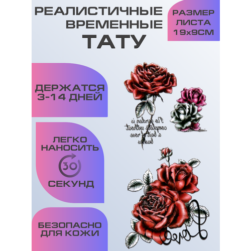 ���� ���� ���������� ��������������, ��������� ����, ������ �� 399 ���