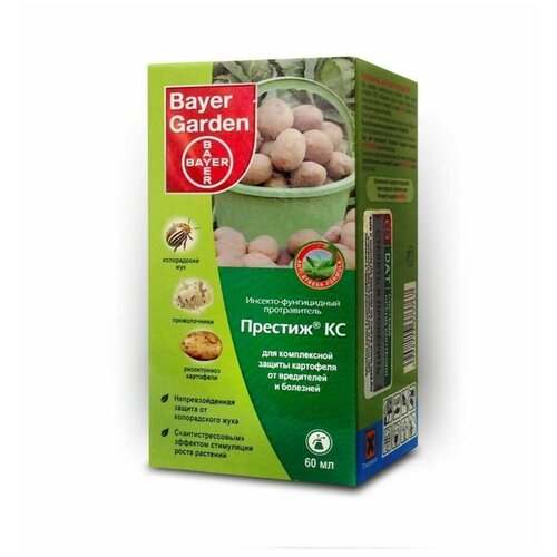 ���� �������, �� (60 ��), ������ �� 580 ���