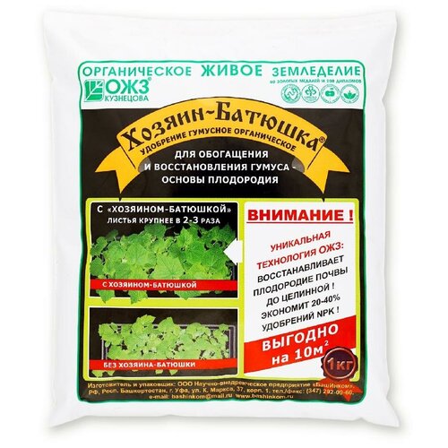 ���� ������������� � �������� ������������ ����������� � ���������� ����� � 1 ��, ������ �� 152 ���