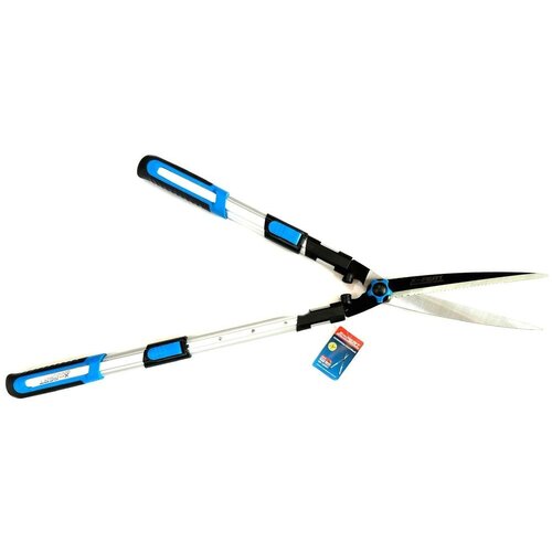 ���� �������� ��������������� ����������� XP-12007, ������ �� 2013 ���