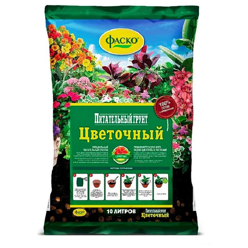 ���� ����� ����� ���������, 10 �, 4 ��, ������ �� 430 ���