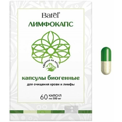 ���� ��������� ������� �������� ����� � ����� 60 ����, ������ �� 1050 ���