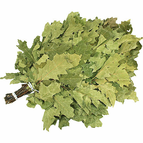 ���� ����� �� ���� ����������, ������ �� 819 ���