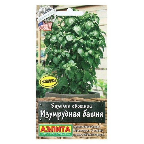 ���� ������ ������� ������� ���������� �����, 10 ��, ������ �� 126 ���