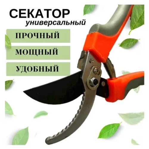 ���� ������� ������������� ������� ���������������� ��� ���� � ����, ������ �� 460 ���