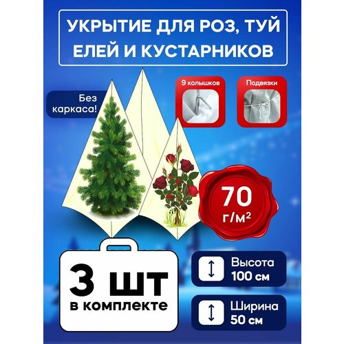 ���� ����� 70�� ��� ��� � ������������ ����������� 100 �� + �����, ������ �� 334 ���