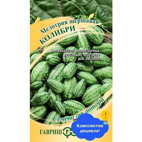 ���� ������ ������ ������ 