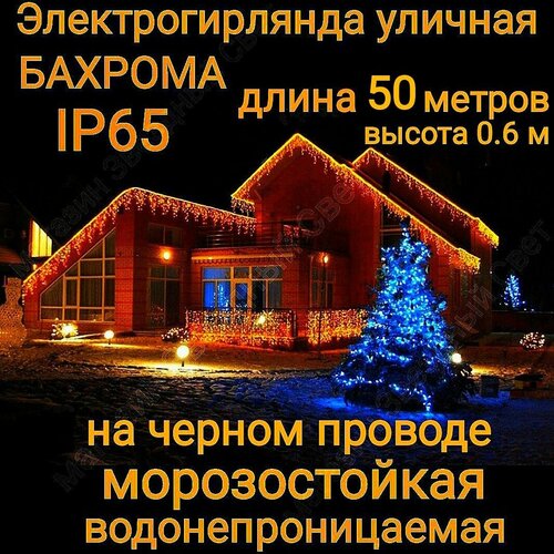 ���� ��������������� ������� ������� ������������ ������ �� ������ ������� 50������, ������ �� 8100 ���