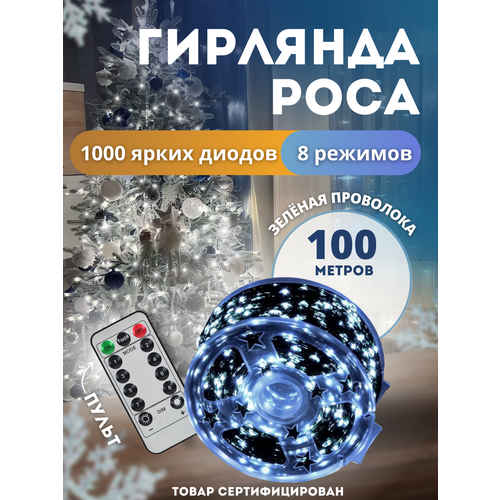 ���� �������� ���� 100 ������ ������� ��������� �������� ��������, ������ �� 1990 ���