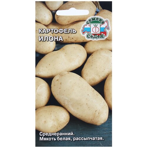 ���� ������ ��������� 