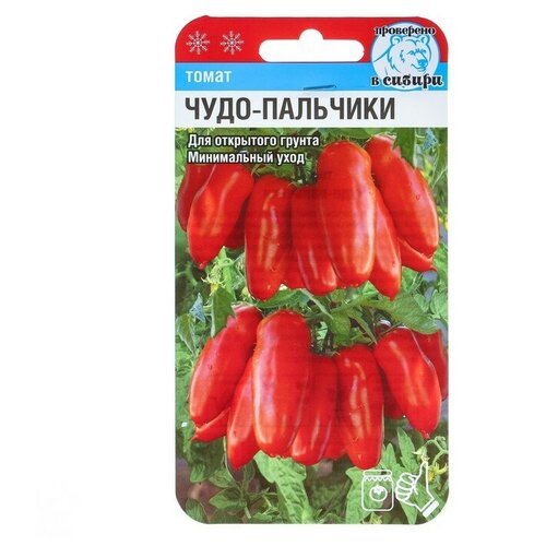 ���� ������ ����� 