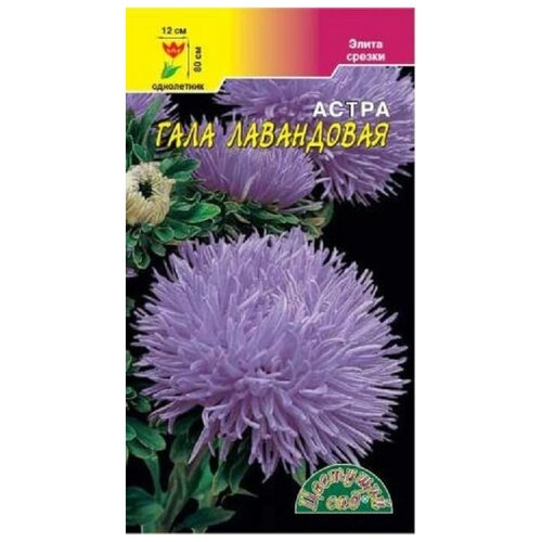 ���� ������ �������� ��� 