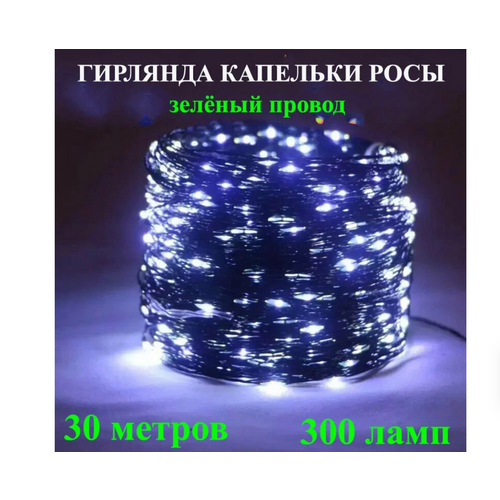 ���� �������� 30 ������, ���� ������ �����, ���� ��������� ������� �� ������� ����� �� ����, ������ �� 1390 ���